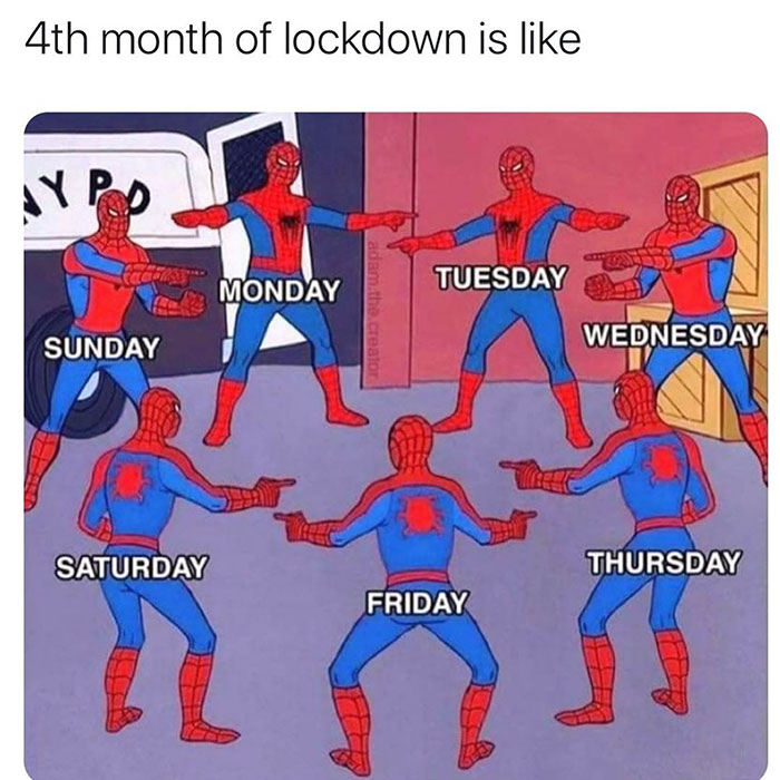 spiderman pointing meme - 4th month of lockdown is Ny Po Ecco Monday Tuesday adam.the.creator Sunday Wednesday Saturday Thursday Friday
