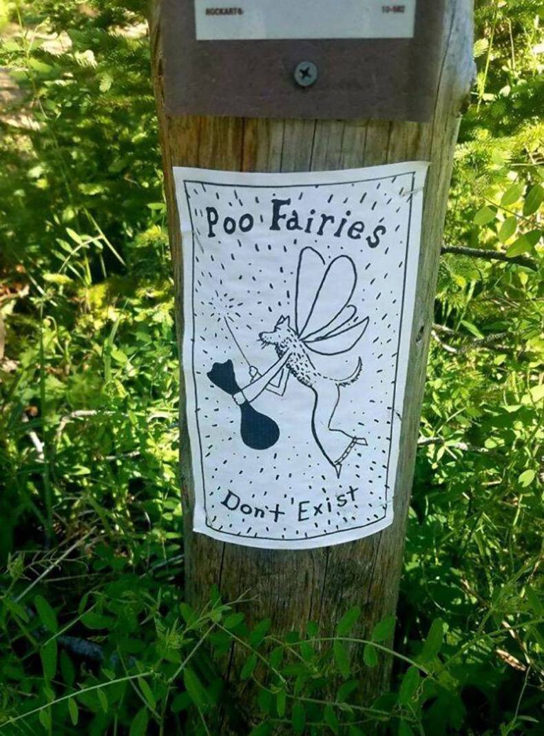 grass - Acto Poo Fairies Don't Exist