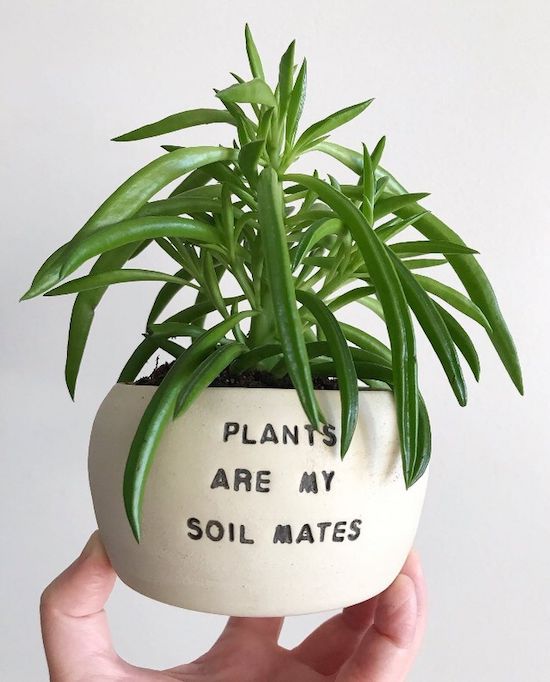 flowerpot - Plants Are My Soil Mates