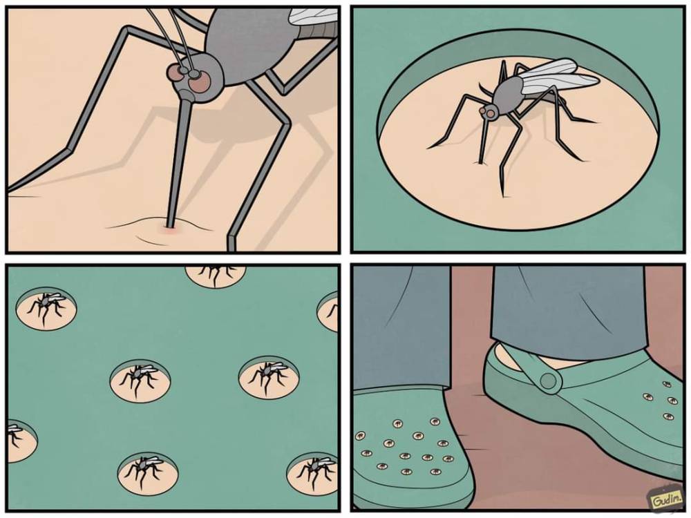 Mosquito - Gudin.