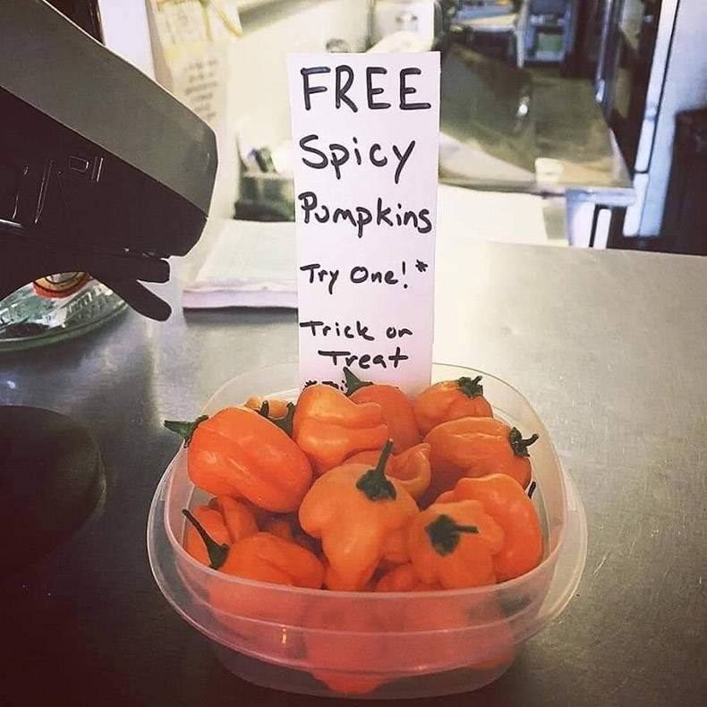 spicy pumpkins trick treat - Free Spicy Pumpkins Try One! "Trick on Treat