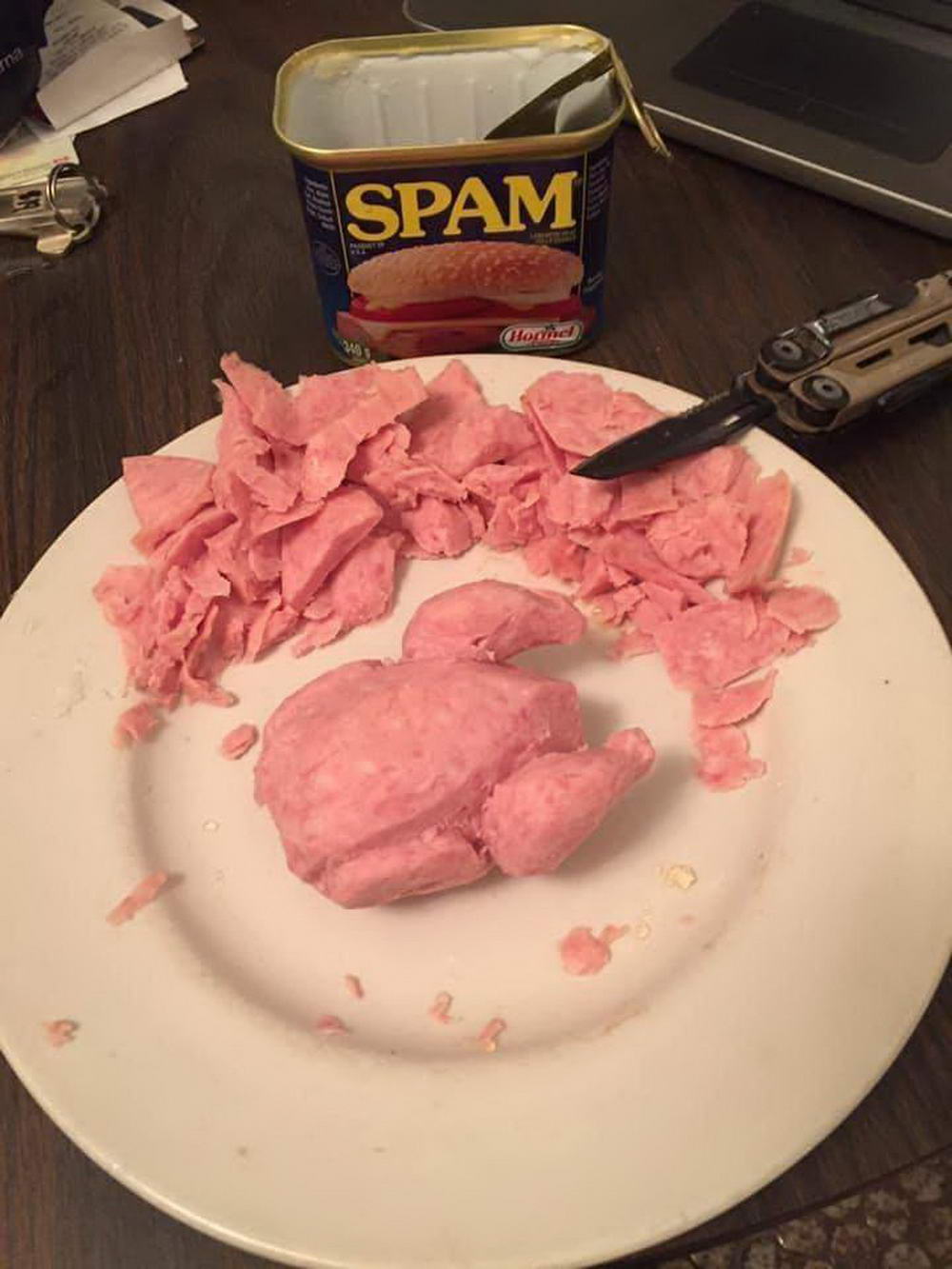 funny pics and memes - spam can