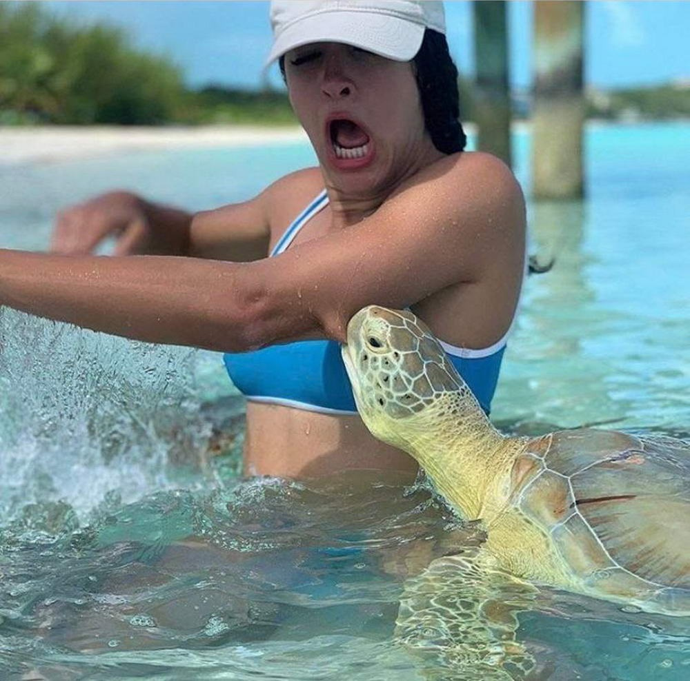 funny pics and memes - turtle bites girl