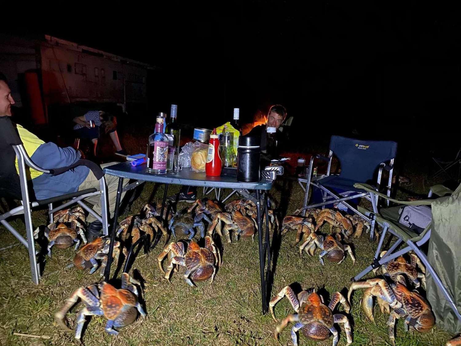 crabs picnic australia
