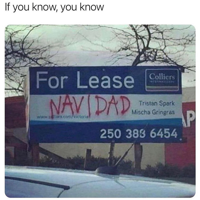 lease navidad - If you know, you know Colliers For Lease Navidad Tristan Spark Mischa Gringras Ap 250 388 6454