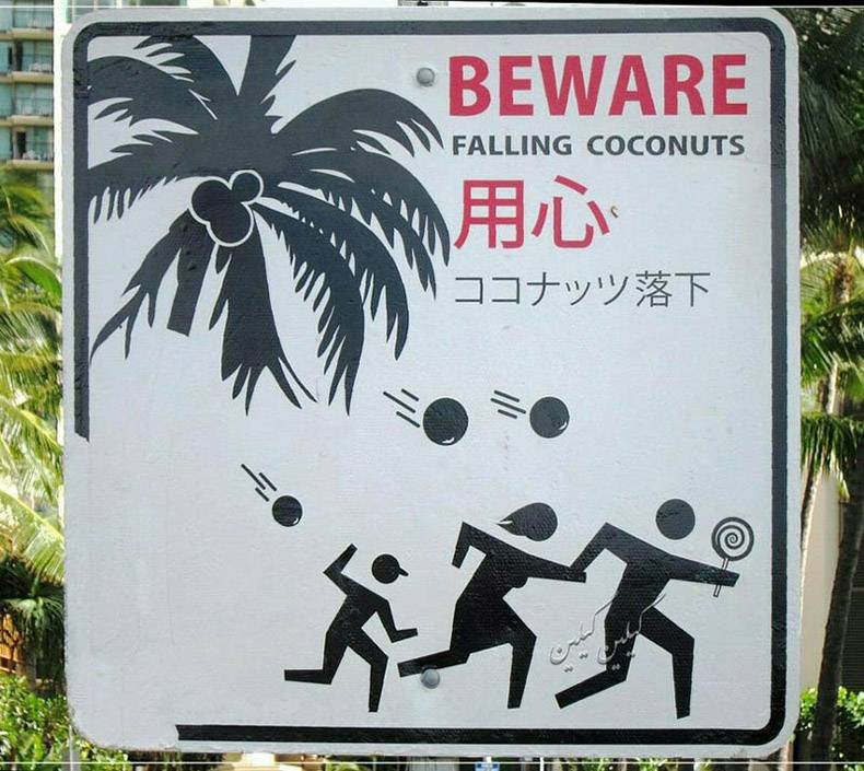 beware of falling coconuts sign - Beware Falling Coconuts M