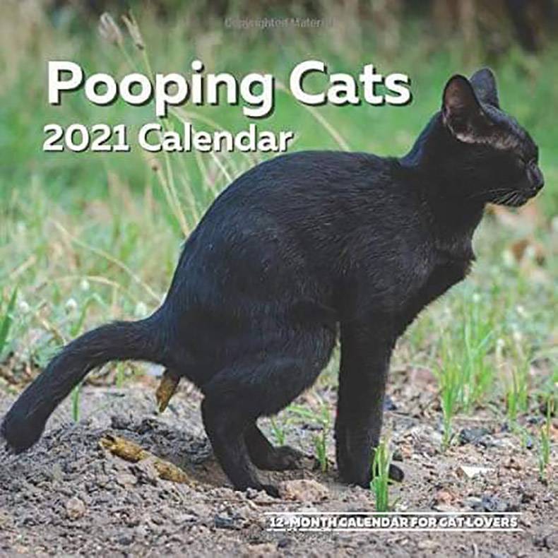 pooping cats calendar - Pooping Cats 2021 Calendar 12 Month Galendar Forgatlovers