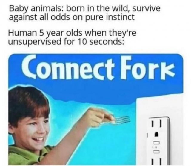 connect meme - Baby animals born in the wild, survive against all odds on pure instinct Human 5 year olds when they're unsupervised for 10 seconds Connect Fork
