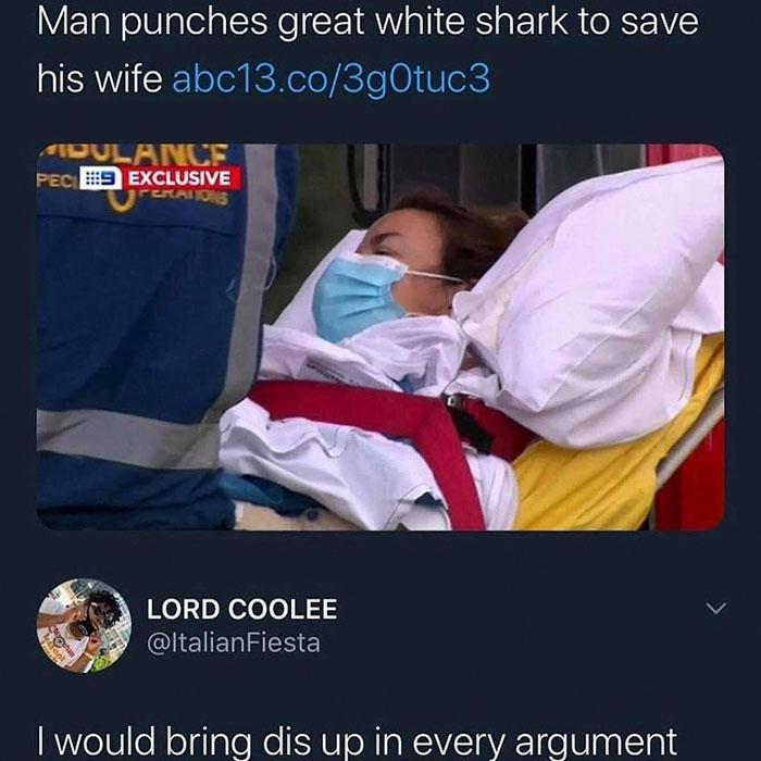 shark memes - Man punches great white shark to save his wife abc13.co3gOtuc3 Adulance Pec Exclusive Perators Lord Coolee Fent I would bring dis up in every argument