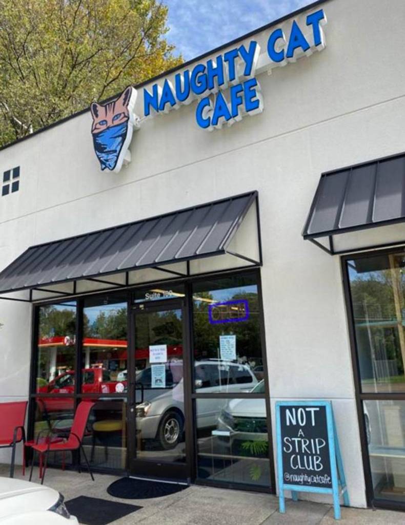 car - Naughty Cat Cafe Suite Not A Strip Club Broughalafe