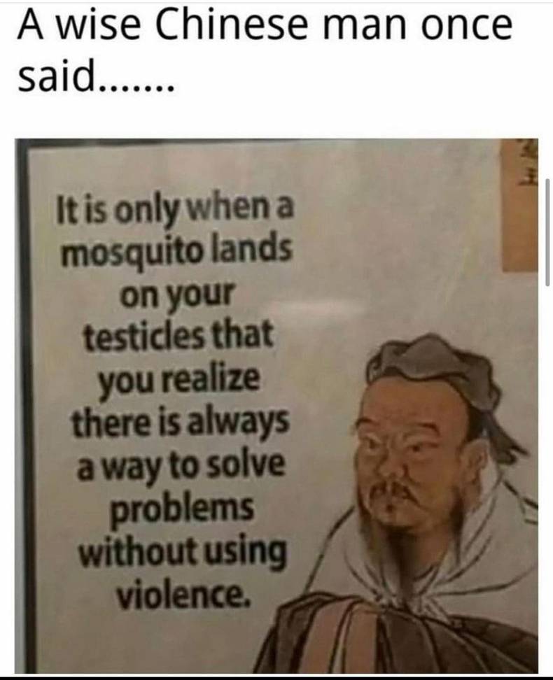 공자 - A wise Chinese man once said....... It is only when a mosquito lands on your testicles that you realize there is always a way to solve problems without using violence.