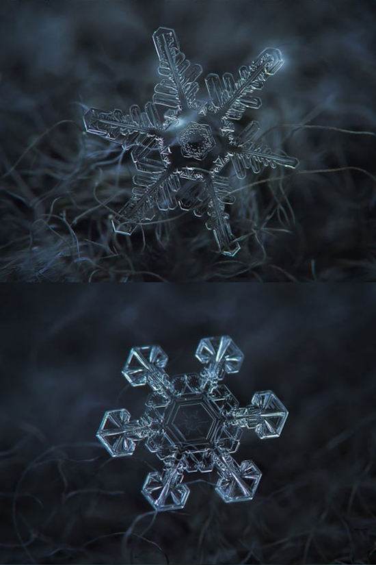 cool pics - do snowflakes really look like