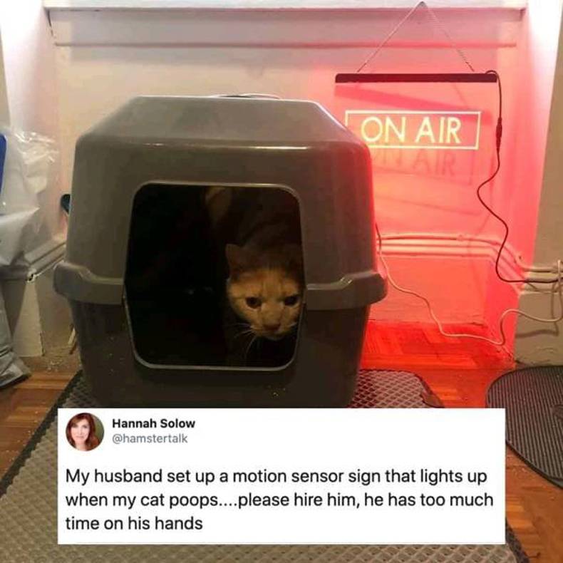 random pics - Motion detector - On Air Hannah Solow My husband set up a motion sensor sign that lights up when my cat poops....please hire him, he has too much time on his hands
