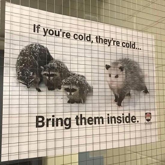 if your cold they re cold too - If you're cold, they're cold. Bring them inside. 3