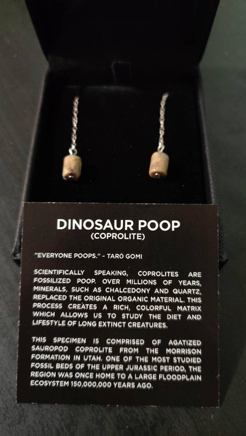jewellery - Dinosaur Poop Coprolite "Everyone Poops." Taro Gomi Scientifically Speaking, Coprolites Are Fossilized Poop. Over Millions Of Years, Minerals, Such As Chalcedony And Quartz, Replaced The Original Organic Material. This Process Creates A Rich, 
