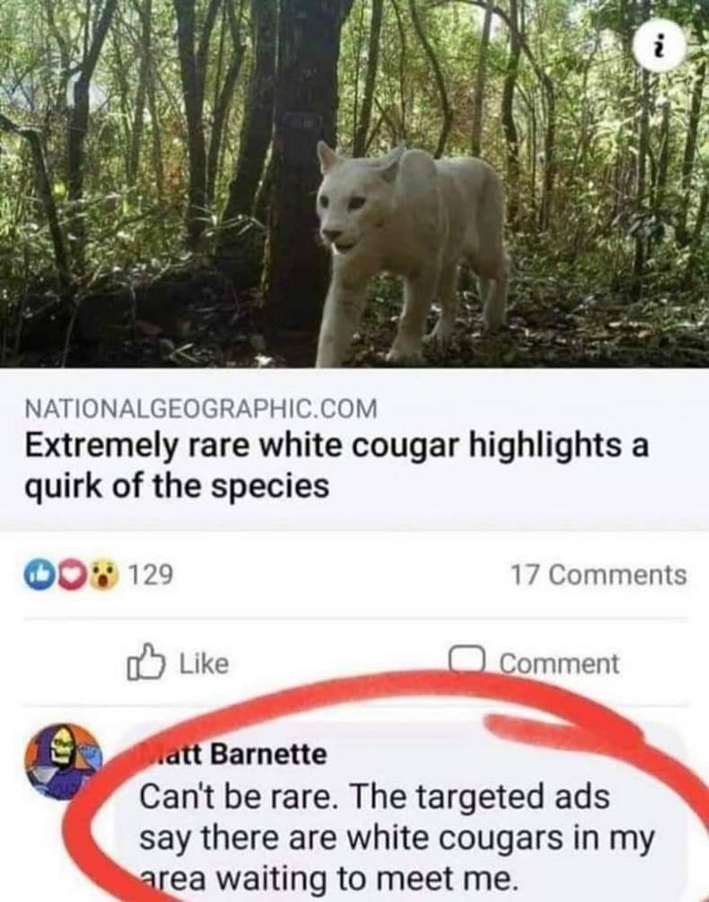 white cougar - Nationalgeographic.Com Extremely rare white cougar highlights a quirk of the species 0129 17 Comment Viatt Barnette Can't be rare. The targeted ads say there are white cougars in my area waiting to meet me.