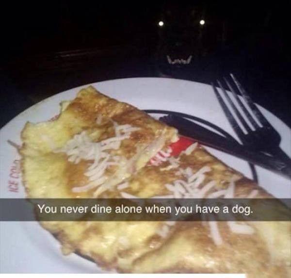 you never eat alone when you have - ust Ice Cu You never dine alone when you have a dog.