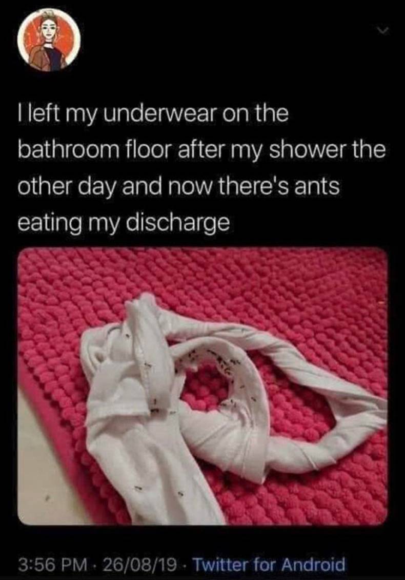 funny rando pics - eating discharge - Tleft my underwear on the bathroom floor after my shower the other day and now there's ants eating my discharge 260819 . Twitter for Android