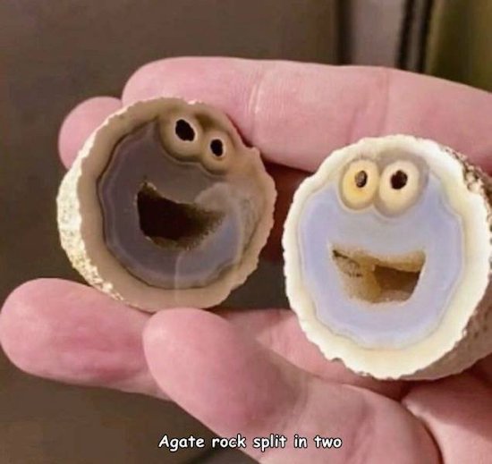 funny pics - cupcake - Agate rock split in two