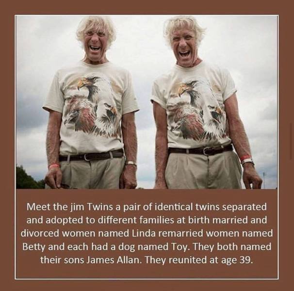 wtf fun facts about twins - Meet the jim Twins a pair of identical twins separated and adopted to different families at birth married and divorced women named Linda remarried women named Betty and each had a dog named Toy. They both named their sons James