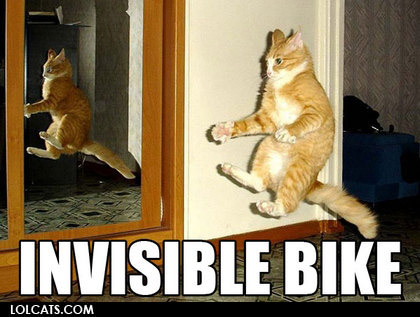 mr kitty is riding an invisible bike