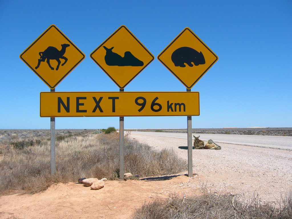photoshopcontest29 entry: kangaroos next 96 km