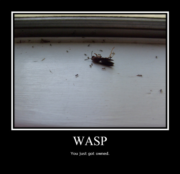 De-motivational poster of a wasp being eaten by some ants. 