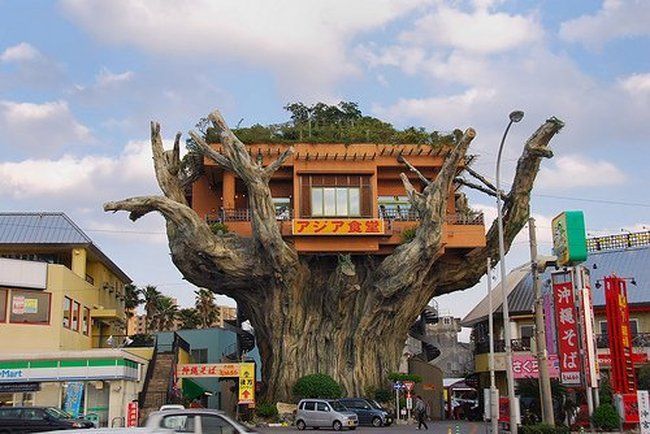 Unusual Resturants From Around the World.