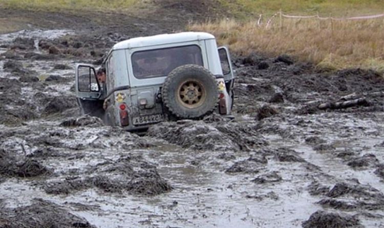 A Day At The Mud Hole.
