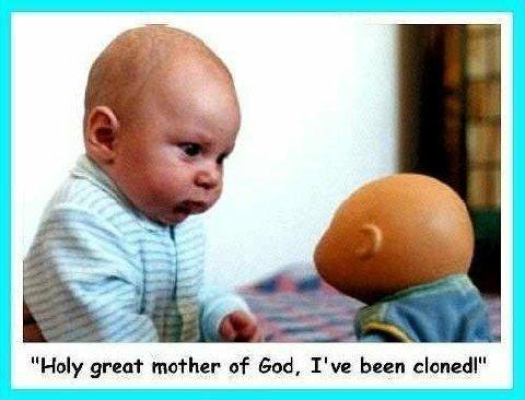 the cloned baby