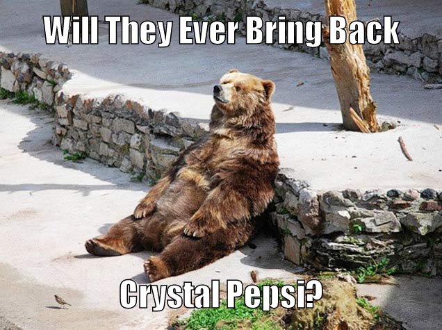 Chill Bear has too much time to ponder life, and the world.