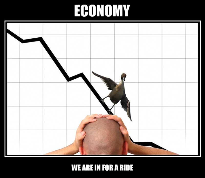 Economy Surfing .