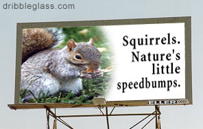 funny signs and billboards - dribbleglass.com Squirrels. Nature's little speedbumps.