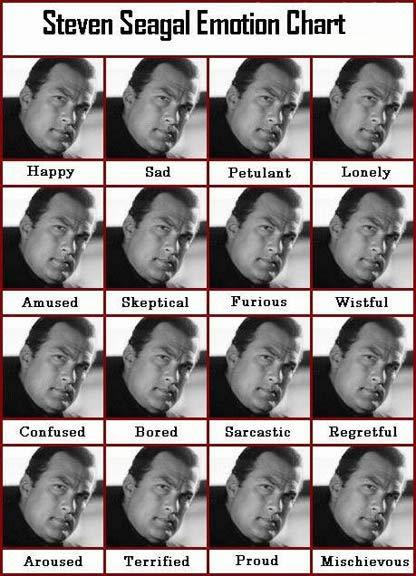 How Steven Seagal looks when he had different emotions.
