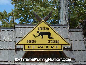 81 Hilarious signs
