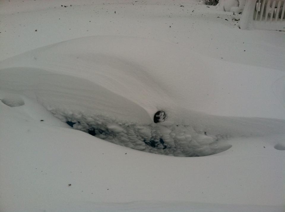 Believe it or not, there is a car under there.