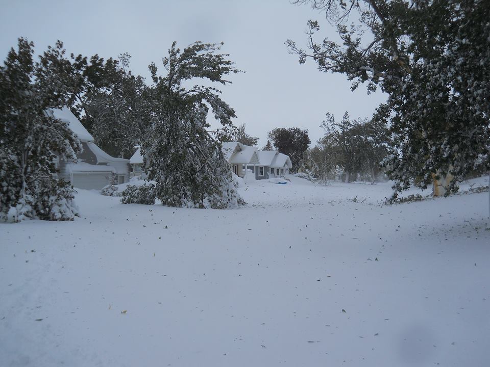 Broken branches were a major problem in this storm.