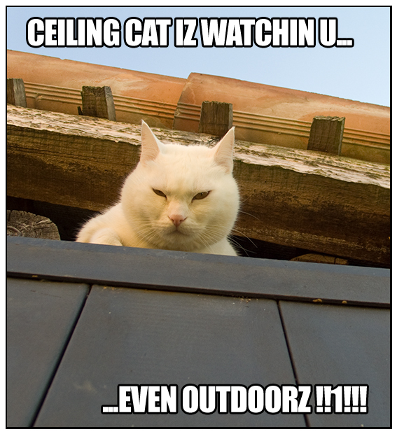 Ceiling Cat Tribute
