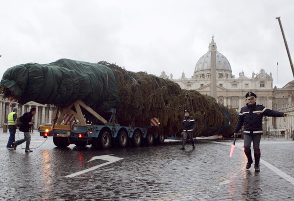  A traffic warden gives directions as a giant Christmas tree is brought to St. Peter's Square, at the Vatican, Friday, Dec. 5, 2008. The 33-meter (109-foot) red spruce arrived overnight from the forests of the Piesting valley in Austria. The official lighting ceremony will be held Dec. 12. (AP Photo/Pier Paolo Cito) 