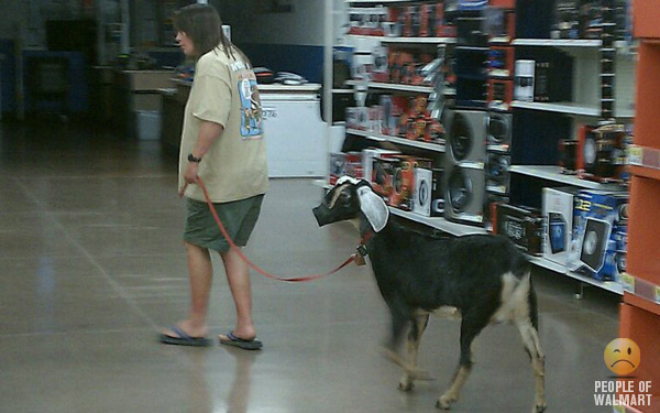 The fine shoppers of  Walmart