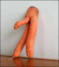 lol this carrots hung