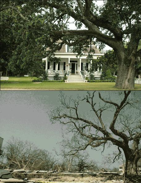 Before and After Hurricane Pictures