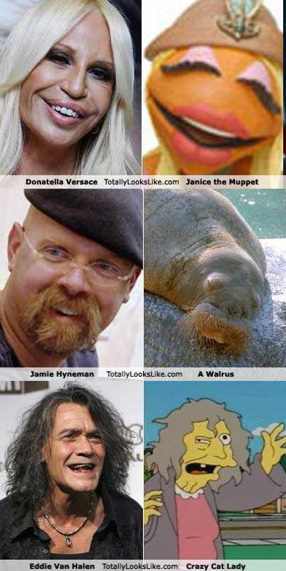 Celebrity look-a-likes