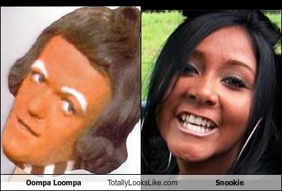 Celebrity Look a likes
