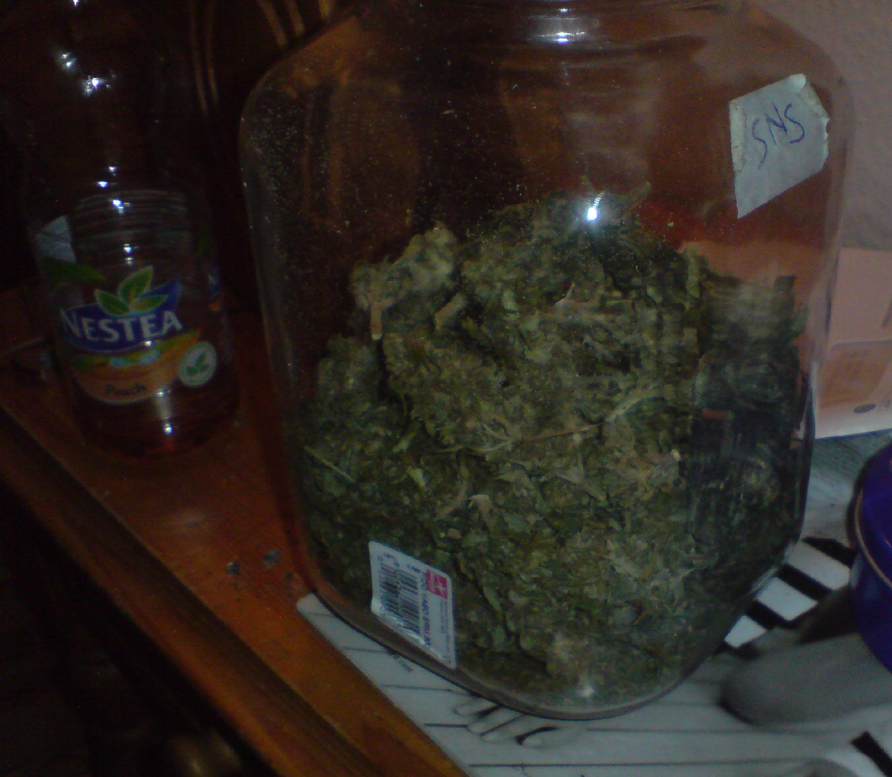 A friend of mine's Jar of buds. It contains like 100 grams of some good shit from amsterdam