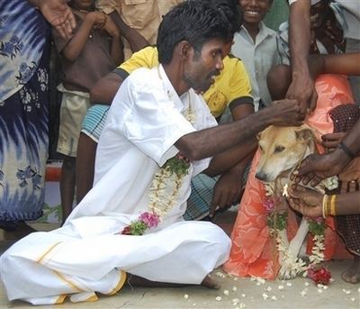 man marries dog to lift curse
