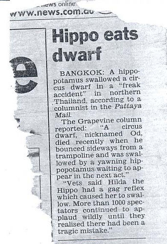 HIPPO EATS DWARF