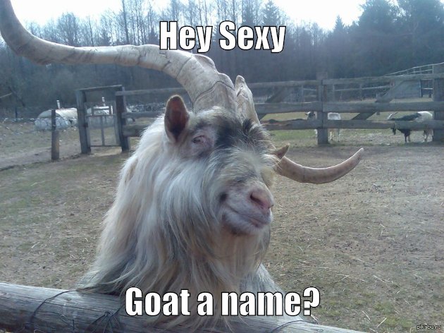 flirty goat