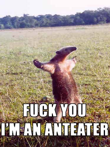 Fuck You, I'm an Anteater.
