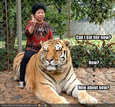 If I was this tiger it wouldn't have even been a thought process for whether or not I ate this woman...